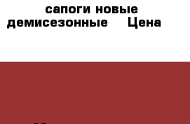 сапоги новые демисезонные  › Цена ­ 4 500 - Мордовия респ., Саранск г. Одежда, обувь и аксессуары » Женская одежда и обувь   . Мордовия респ.